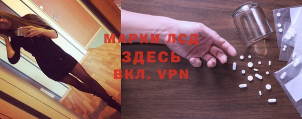ГАЛЛЮЦИНОГЕННЫЕ ГРИБЫ Абаза