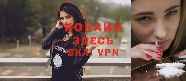 ГАЛЛЮЦИНОГЕННЫЕ ГРИБЫ Абаза