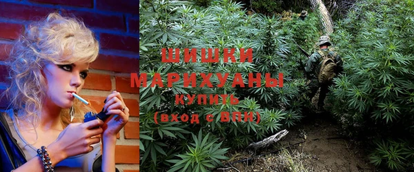 стафф Новодвинск
