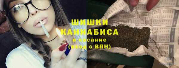 ГАЛЛЮЦИНОГЕННЫЕ ГРИБЫ Абаза
