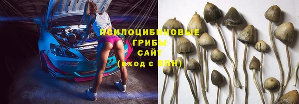 2c-b Алзамай